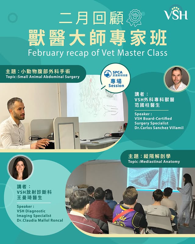 【關懷社區 深耕同行 🌱 四月 #獸醫大師專家班 回顧】每一步臨牀決策，都源自對生命嘅尊重；每一次知識傳承，亦植根於對寵物福祉嘅承擔。4 月，VSH 團隊身體力行參與本地教育活動，推動 #社區支援...